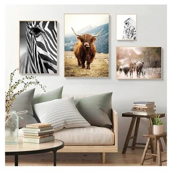 Arte De Parede Do Poster Animal Africano Leão, Zebra, Vaca Tela De Impressão, Pintura Nórdica Decoração De Sala De Estar Escandinavo Decoração Imagem
