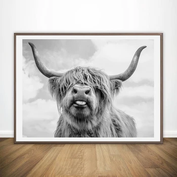 Estilo nórdico Arte de Parede Liberdade Highland Vaca e Impressão de Cartaz, Gado de Lona Pinturas de Arte para a Sala de Decoração de Casa Sem Moldura
