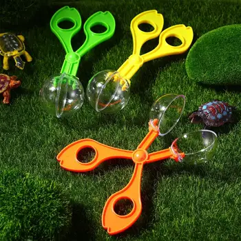 6pcs Útil Scoopers Bug Catcher Conjunto de Insetos Tesoura Exterior de Brinquedos para as Crianças brinquedos educativos (Cor Aleatória)