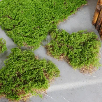 Artificial Moss Grama do Gramado do Jardim Gramado falsificado a Decoração Home da Parede DIY Flor de Material Micro Paisagem Acessórios