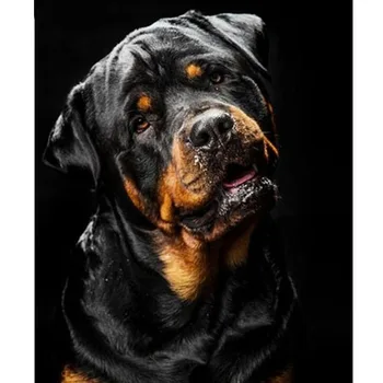 Diamante Pintura Cão Rottweiler Completo Quadrado Bordado De Diamante Animal De Estimação De Ponto De Cruz, Bordado De Diamantes Mosaico Strass Decoração De Casa