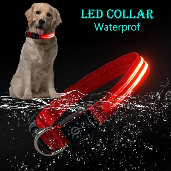 LED Coleira do Cão Impermeável de Carregamento USB Colar Para Animais de estimação Anti-perda de Cães Gatos ao ar livre, Andando de Noite de material de Segurança Acessórios para Cães