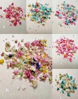 Misto de Real Pressionado Flores Secas flores secas Pastel Adesivos para Unha/ a Arte do Prego de DIY/imprensa sobre Unhas postiças pétalas Real oshibana