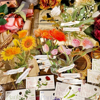Panalisacraft 8 Estilos de Grandes Flores de PET transparente autocolante papel de Scrapbooking papel pack de artesanato de papel de Fundo pad cartão